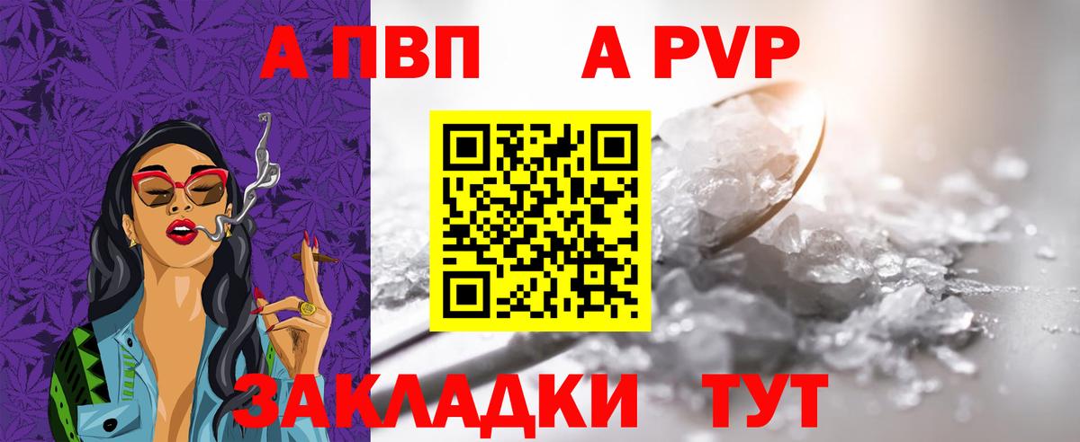 А ПВП СК КРИС Будённовск