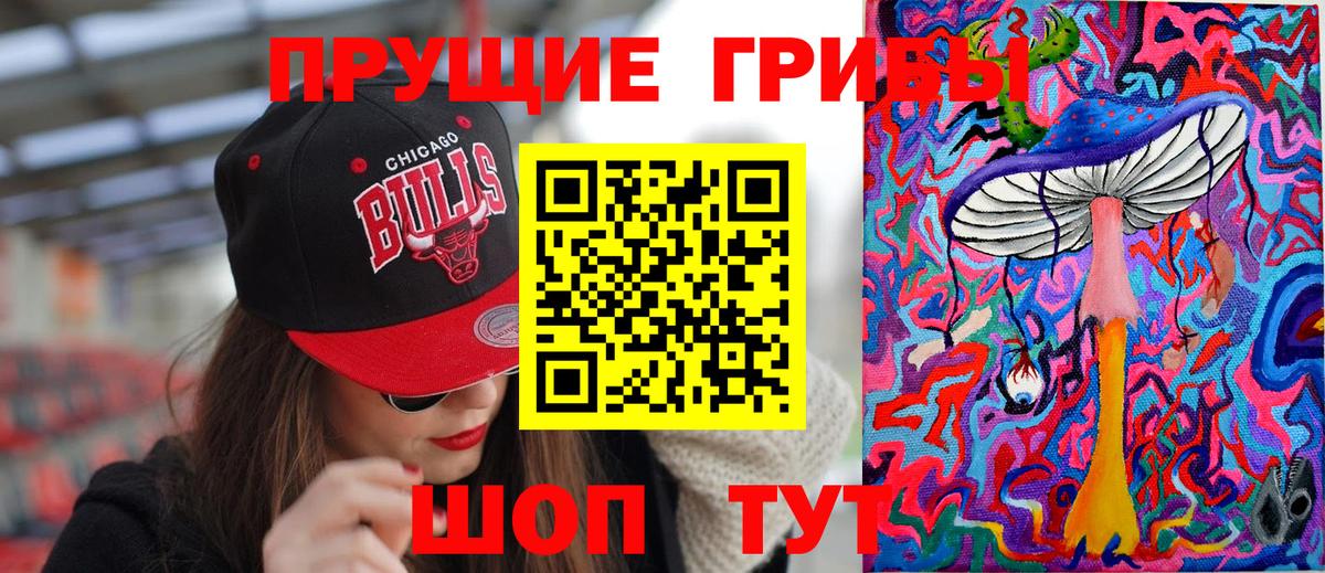 Псилоцибиновые грибы MAGIC MUSHROOMS  Будённовск 