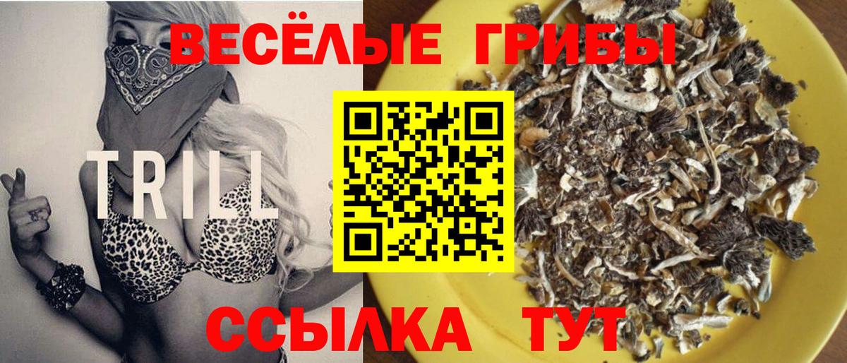 Псилоцибиновые грибы Cubensis Будённовск