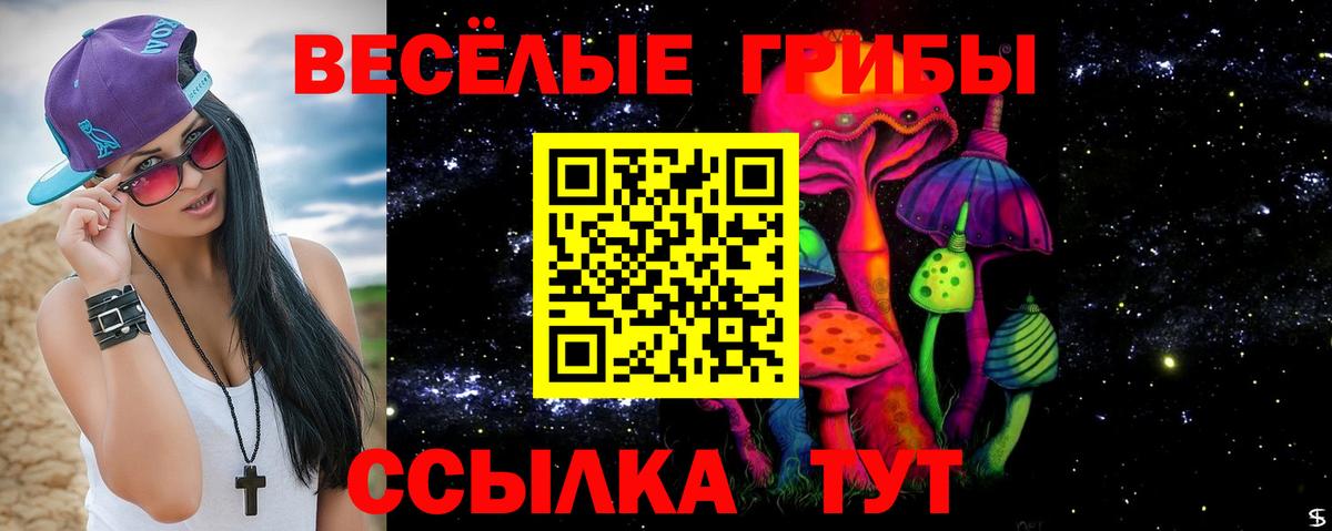 Псилоцибиновые грибы Magic Shrooms  Псилоцибиновые грибы GOLDEN TEACHER  Будённовск  Вход с VPN 